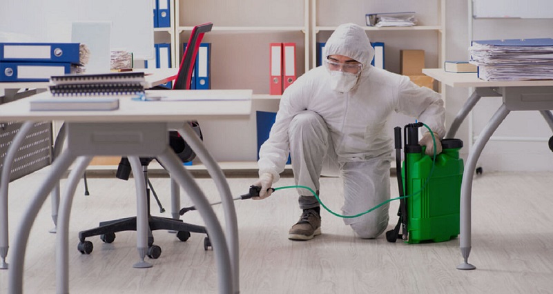 Pest Control Dubai Pest Control Dubai